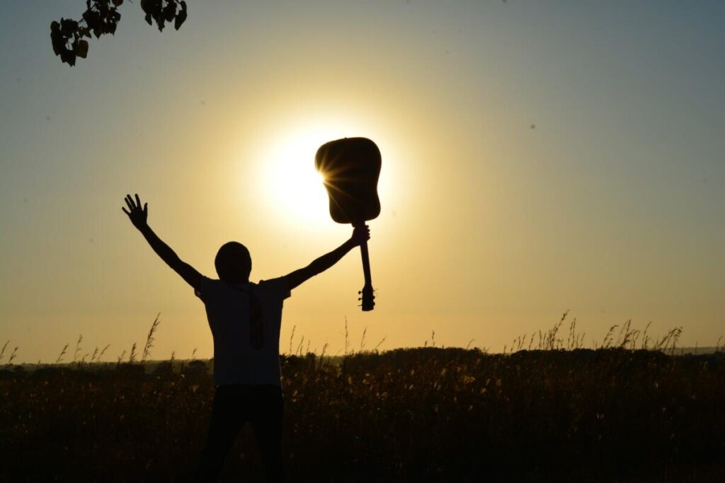 silhouette of man holding guitar on plant fields at daytime